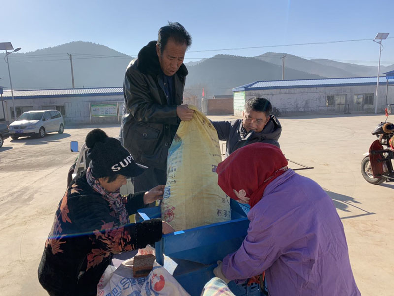 收購現(xiàn)場,，王強(qiáng)（右二）幫助村民抬小米