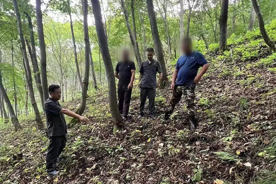 （本溪中院）桓仁縣法院華來法庭法官深入涉案林下參園進(jìn)行現(xiàn)場勘查