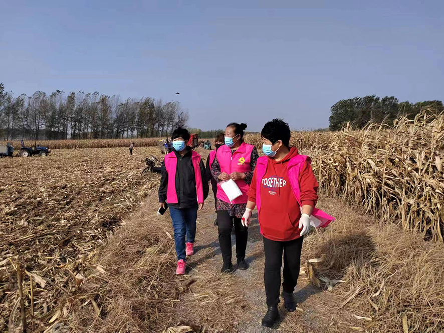 配民主法治示范村：巾幗調(diào)解隊(duì)走進(jìn)田間地頭調(diào)解糾紛,。