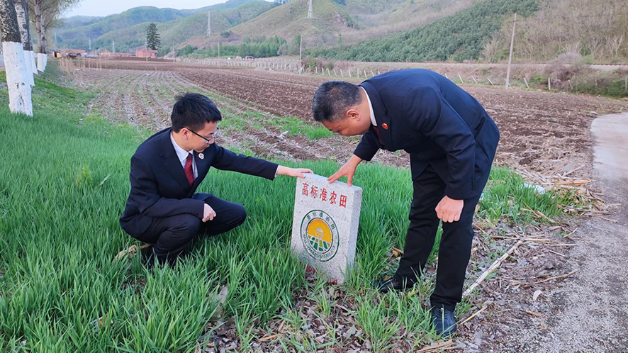 檢察官查看高標準農(nóng)田標志