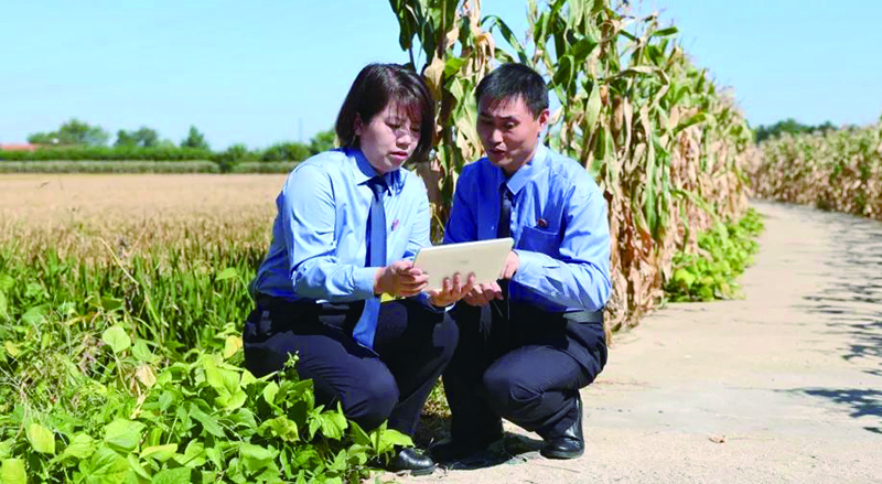 辦案檢察官對調(diào)查中發(fā)現(xiàn)的破損,、開裂,、下陷路段的修復(fù)情況進行巡查監(jiān)督(1)