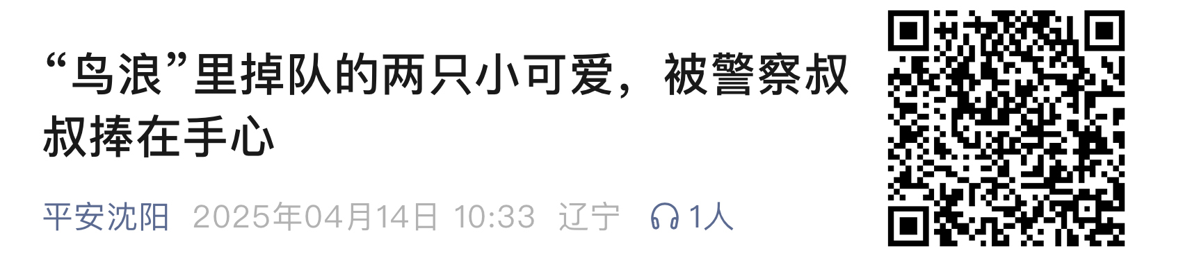 小鳥111