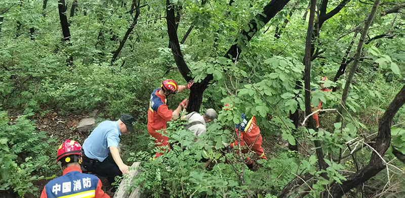 密林中護老人下山